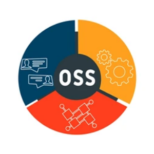  OSS BSS Services 